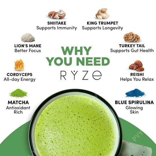 Mushroom Matcha Powder Organic with 6 Adaptogenic Mushroom Blend Matcha and Blue Spirulina