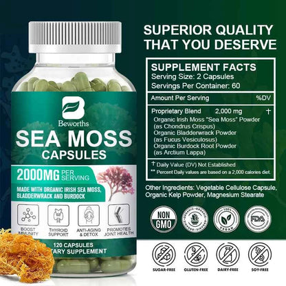 BEWORTHS Organic Sea Moss Pill