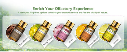 PHATOIL 15PCS Aromatherapy Essential Oil Set For Diffuser