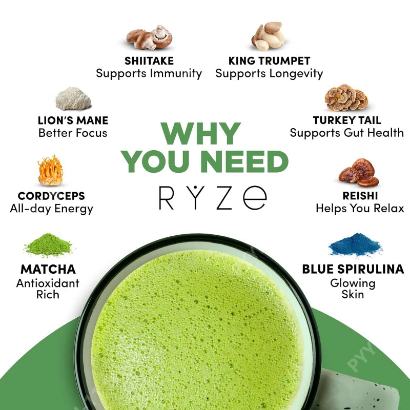 Mushroom Matcha Powder Organic with 6 Adaptogenic Mushroom Blend Matcha and Blue Spirulina