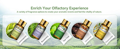 PHATOIL 15PCS Aromatherapy Essential Oil Set For Diffuser