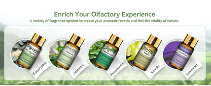 PHATOIL 15PCS Aromatherapy Essential Oil Set For Diffuser