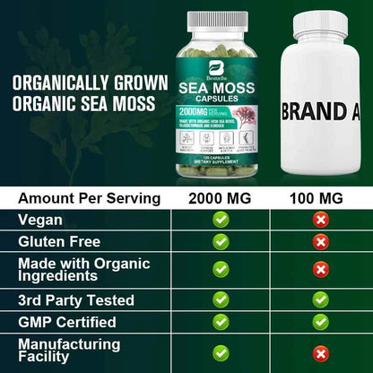 BEWORTHS Organic Sea Moss Pill
