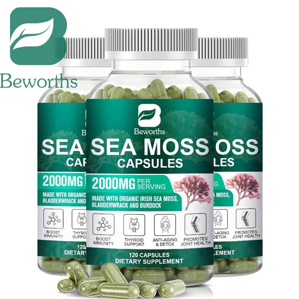 BEWORTHS Organic Sea Moss Pill