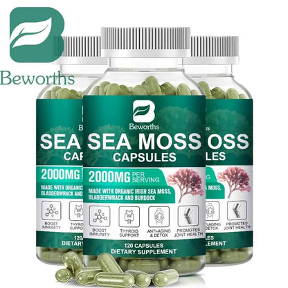 BEWORTHS Organic Sea Moss Pill