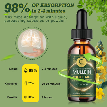 Mullein Leaf Extract Drops - Lung Cleanse - Powerful Mullein for Immune Support